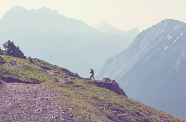 Caminhando Homem Nas Montanhas Canadenses Caminhada Atividade Recreação Popular América — Fotografia de Stock