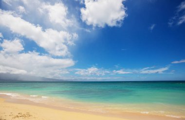 Hawaiian beach amazing. Okyanusu günbatımı veya gündoğumu sörfçü ile dalga. Dalga sıcak günbatımı renkleri ile. Oahu beach, ABD.