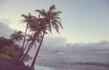 Hawaiian beach amazing. Okyanusu günbatımı veya gündoğumu sörfçü ile dalga. Dalga sıcak günbatımı renkleri ile. Oahu beach, ABD.
