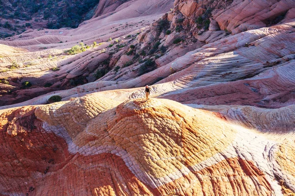 Homokkő Alakzatok Utah Usa Yant Lakások — Stock Fotó