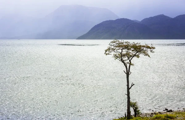 Vackra Berg Landskap Längs Grusvägen Carretera Austral Södra Patagonien Chile — Stockfoto