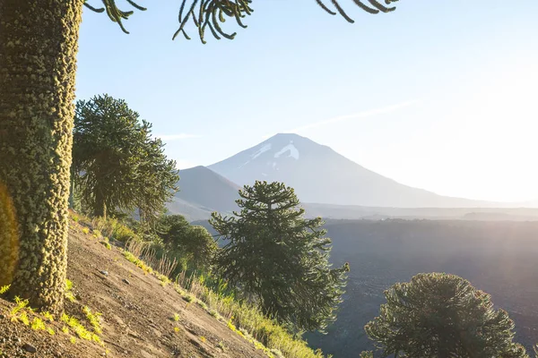 南美洲美丽的火山景观 — 图库照片