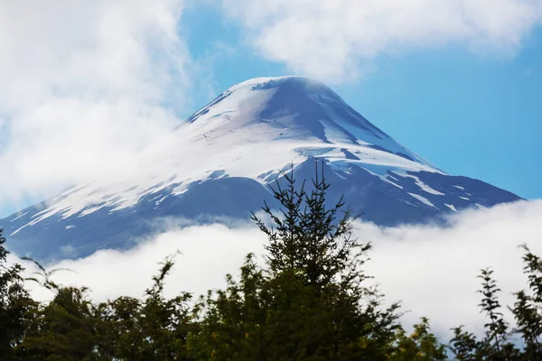 智利瓦拉斯港湖区民族公园奥索诺火山 — 图库照片