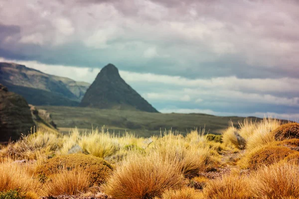 Paisajes Patagonia Sur Argentina — Foto de Stock