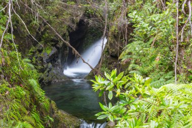 Şili 'de güzel bir şelale, Güney Amerika.
