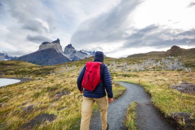 Torres del Paine Milli Parkı 'nda güzel dağ manzaraları, Şili.