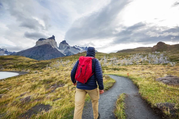 Bellissimi Paesaggi Montani Nel Parco Nazionale Torres Del Paine Cile — Foto Stock