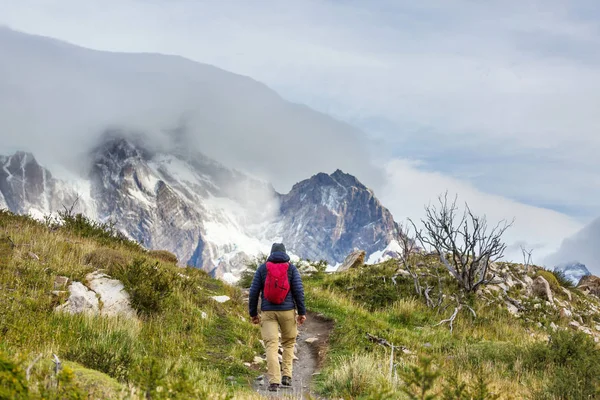 Beaux Paysages Montagne Dans Parc National Torres Del Paine Chili — Photo