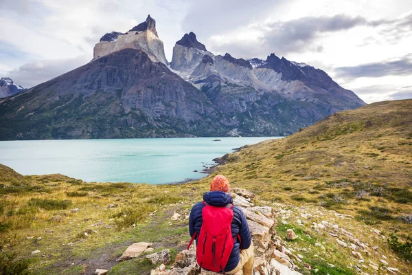 Lindas Paisagens Montanha Parque Nacional Torres Del Paine Chile — Fotografia de Stock