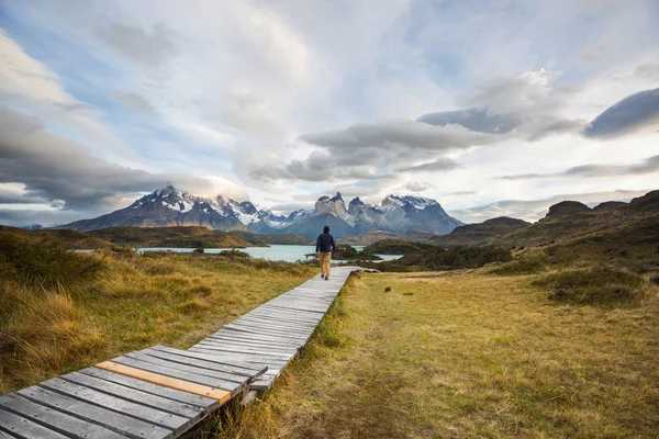 Vackra Bergs Landskap Torres Del Paine Nationalpark Chile — Stockfoto