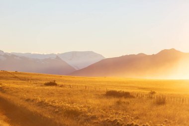 Arjantin kırsal manzara