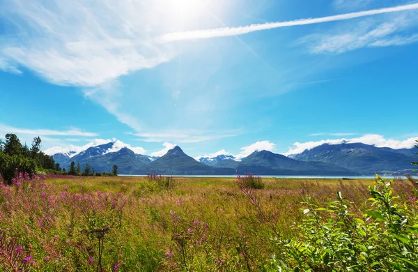 Ovanlig Sommar Landskap Alaska Usa — Stockfoto