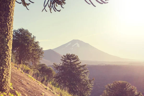 Hermosos Paisajes Volcánicos Chile América Del Sur — Foto de Stock