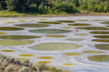 British Columbia, Kanada 'da Benekli Göl