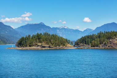 Vancouver Adası. Kanada mı? Yaz mevsiminin güneşli güzel günü.