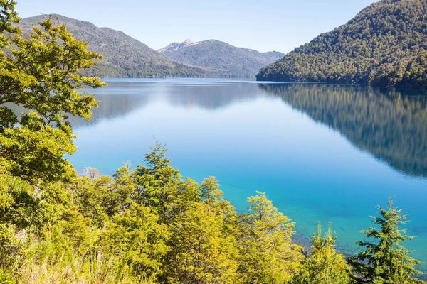 Прекрасні Гірські Пейзажі Патагонії Гірське Озеро Аргентині Південна Америка — стокове фото