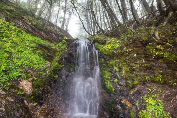 Cascata Nella Bellissima Foresta Nebbiosa — Foto Stock