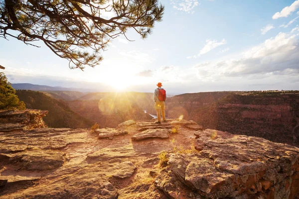 Flaming Gorge Área Recreação — Fotografia de Stock