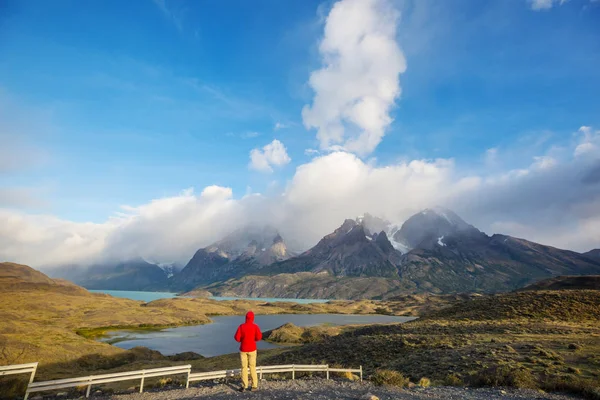 智利Torres Del Paine国家公园美丽的山地景观 世界著名的远足地区 — 图库照片