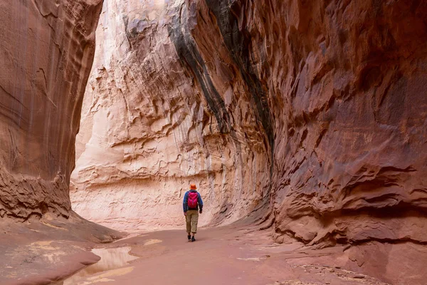 Kanion Szczelinowy Parku Narodowym Grand Staircase Escalante Utah Usa Niezwykłe — Zdjęcie stockowe