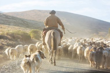 Patagonya dağlarında Keçi Gauchos ahd sürü, Arjantin