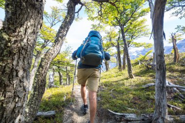 Hiking adam yolun ormanın içinde bay.