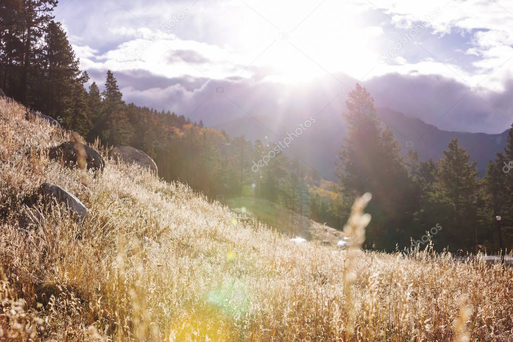 Sunny autumn meadow nature scenic view 