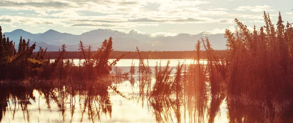 Escena Serena Junto Lago Montaña Canadá Con Reflejo Las Rocas —  Fotos de Stock
