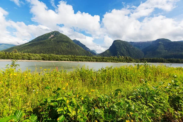 Vue Pittoresque Sur Montagne Dans Les Rocheuses Canadiennes Été — Photo