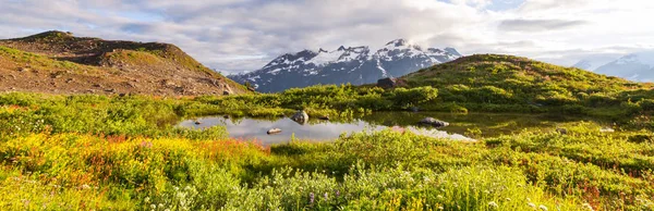 Prairie Montagne Par Temps Ensoleillé Paysage Naturel Été Montagnes Alaska — Photo