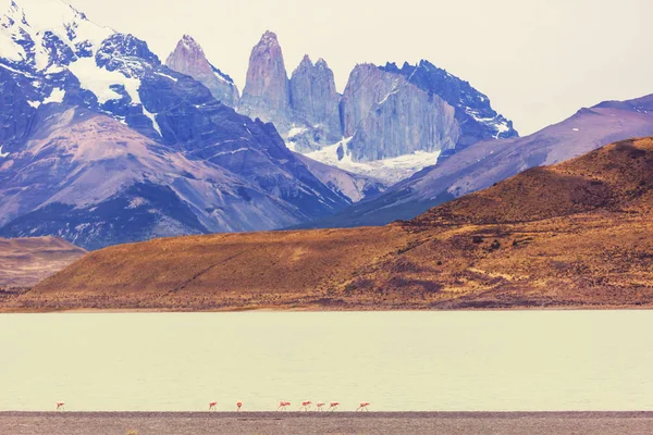 Wunderschöne Berglandschaften Torres Del Paine Nationalpark Chile Weltberühmtes Wandergebiet — Stockfoto