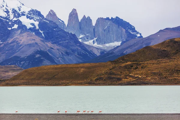 Όμορφα Ορεινά Τοπία Στο Εθνικό Πάρκο Torres Del Paine Χιλή — Φωτογραφία Αρχείου