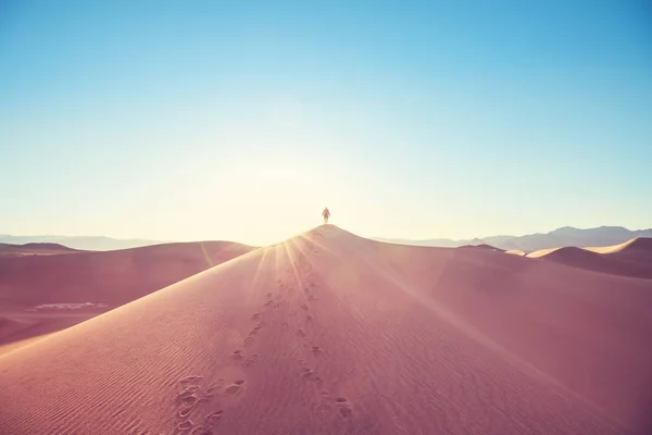 Randonneur Parmi Les Dunes Sable Dans Désert — Photo