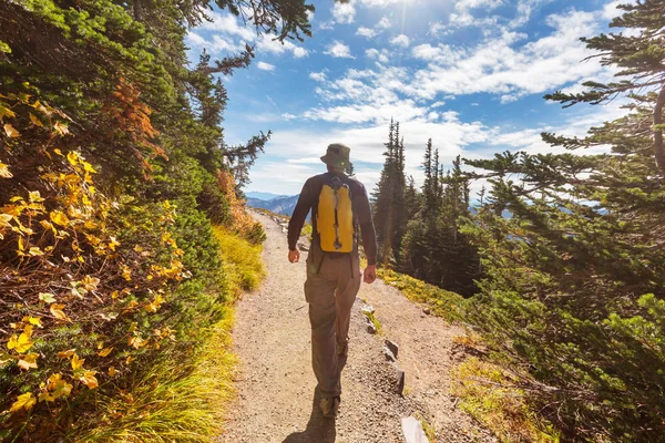 Backpacker Túře Letních Horách — Stock fotografie