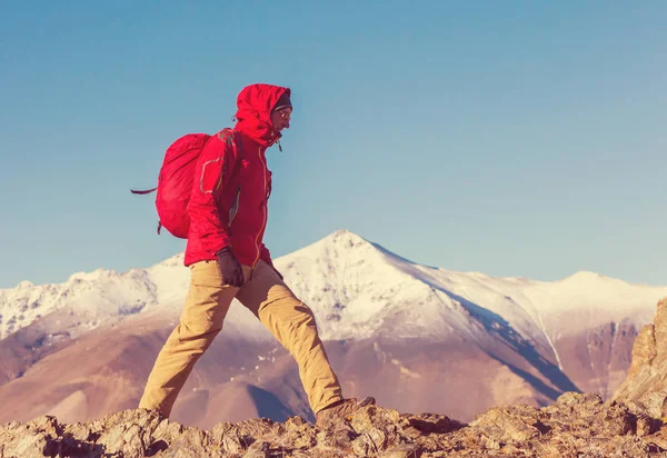 Εθνικό Πάρκο Perito Moreno Παταγονία Αργεντινή — Φωτογραφία Αρχείου