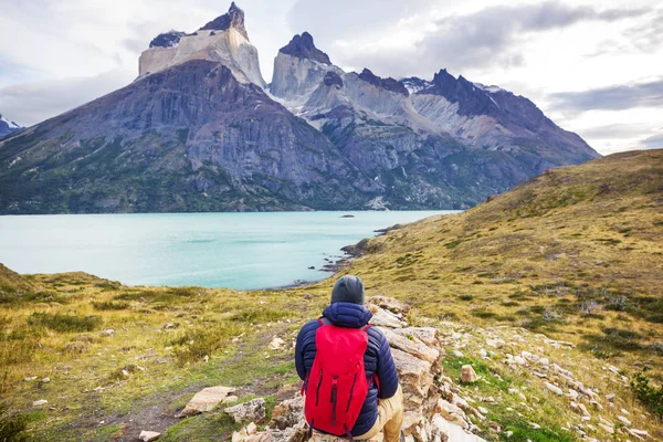 Bellissimi Paesaggi Montani Nel Parco Nazionale Torres Del Paine Cile — Foto Stock