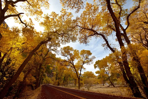 秋景在锡安国家公园 犹他州 — 图库照片