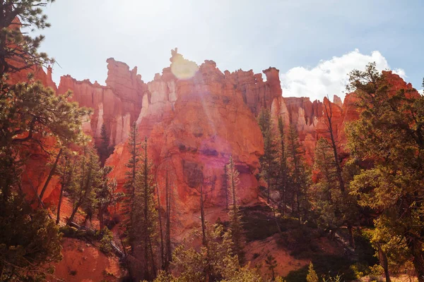 Utah Abd Deki Bryce Canyon Ulusal Parkı Nın Renkli Pembe — Stok fotoğraf