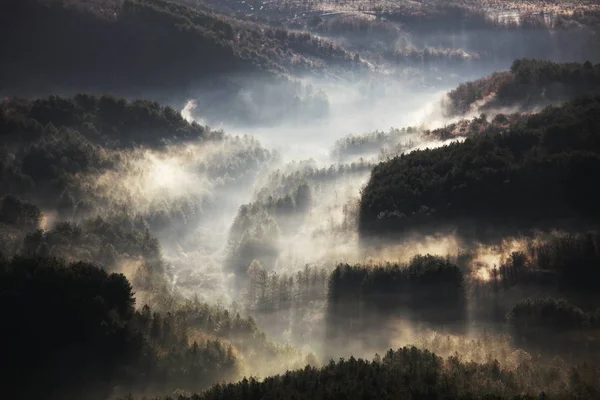 Východu Slunce Kouzelná Mlha Nádherná Přírodní Krajina — Stock fotografie