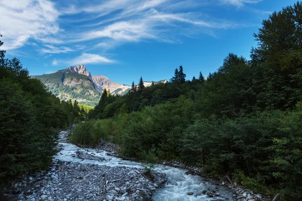 Picturesque Mountain View Canadian Rockies Summer Season — стокове фото