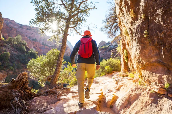 Kirándulás Zion Nemzeti Parkban Ember Sétál Ösvényen Utah Zion Nemzeti — Stock Fotó