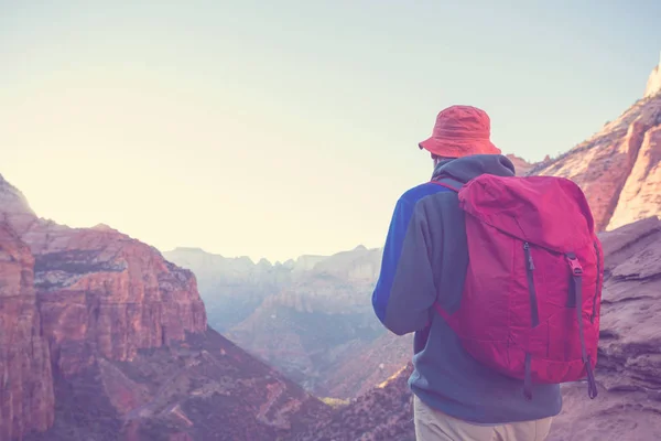 Wandelen Het Zion National Park Man Wandelen Het Pad Zion — Stockfoto