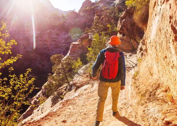 Kirándulás Zion Nemzeti Parkban Ember Sétál Ösvényen Utah Zion Nemzeti — Stock Fotó