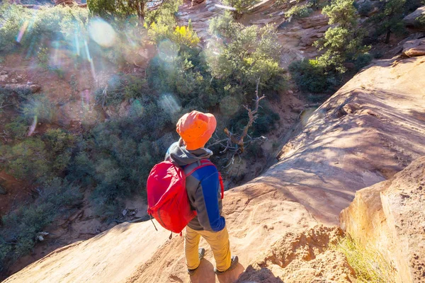 Caminhada Parque Nacional Zion Homem Anda Trilho Parque Nacional Zion — Fotografia de Stock