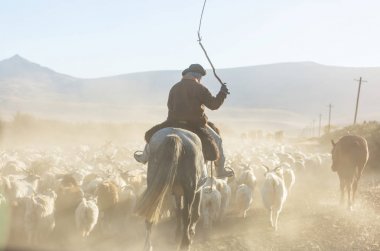 Patagonya dağlarında Keçi Gauchos ahd sürü, Arjantin