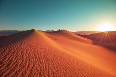 Ölüm Vadisi Milli Parkı, California, ABD kum tepeleri. Tonda yaşam mercan.