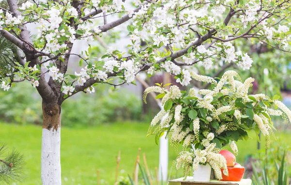 Scène Printanière Dans Jardin Vert — Photo