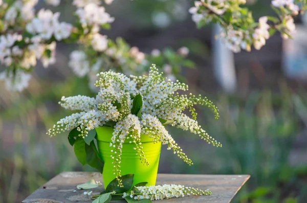 Cena Primavera Jardim Verde — Fotografia de Stock