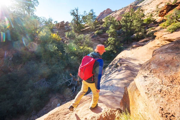 Wanderung Zion Nationalpark Mann Auf Dem Weg Zion Nationalpark Utah — Stockfoto