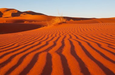 Çölde manzaralı kum tepeleri
